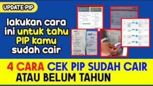 Cara Cek PIP Online Lewat HP dengan Mudah dan Akurat